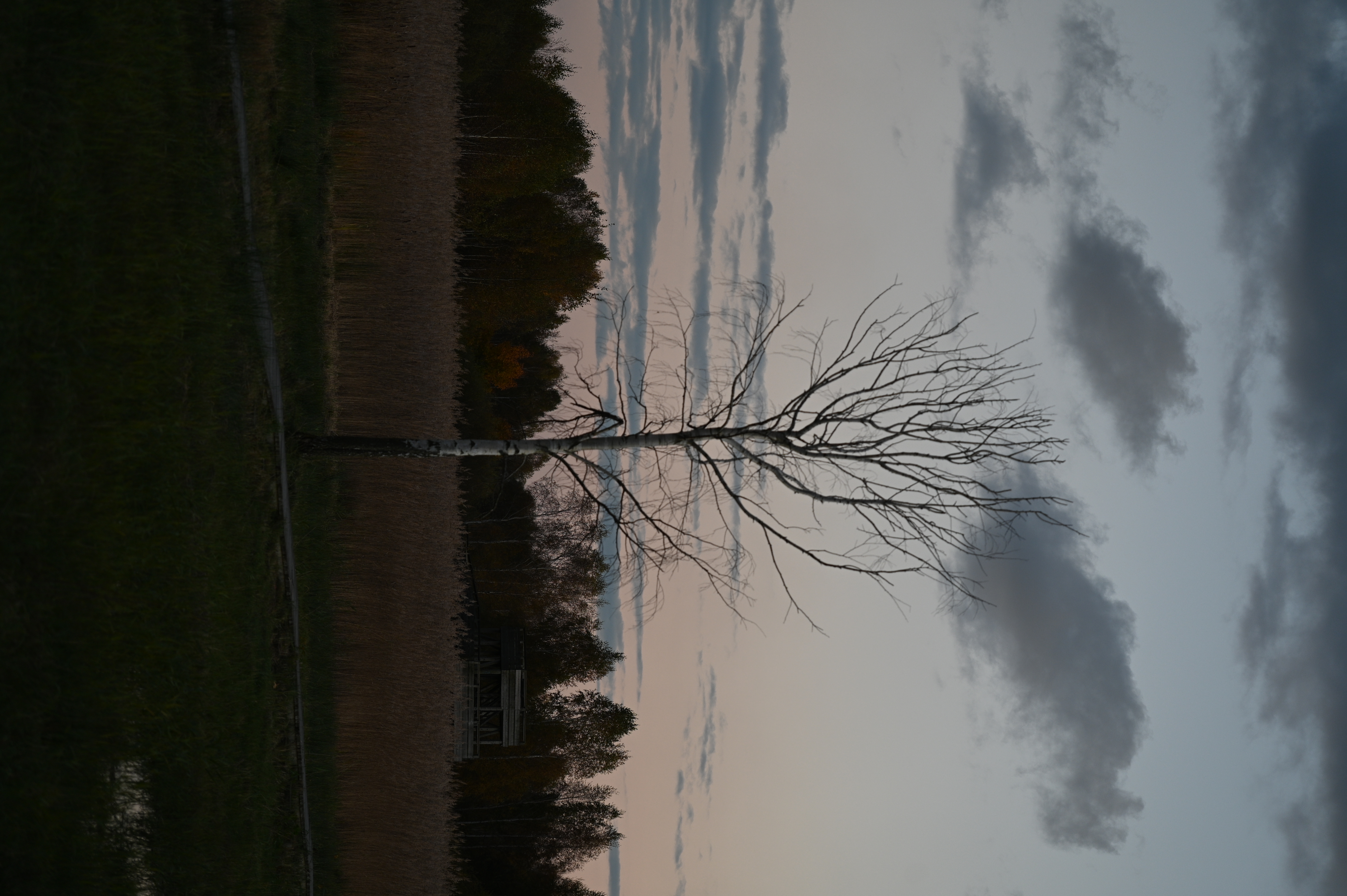 2025/10/18 - walk/DSC_0569.JPG